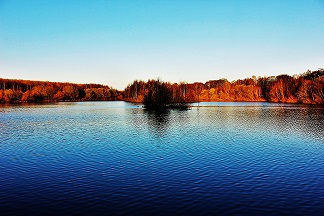 Krajobrazy (1) obserwatorka.pl